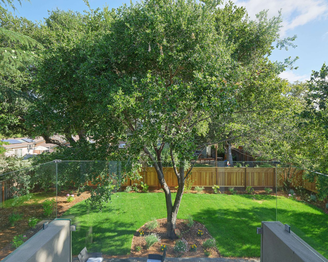 Close up of a backyard renovated by Bay Area Design and Construction, outdoor renovation experts in landscaping and hardscaping.