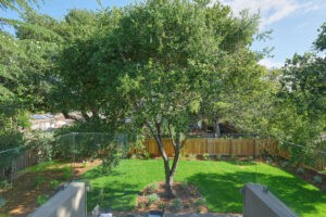Close up of a backyard renovated by Bay Area Design and Construction, outdoor renovation experts in landscaping and hardscaping.