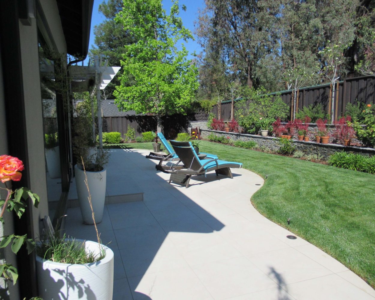 Outdoor - Backyard